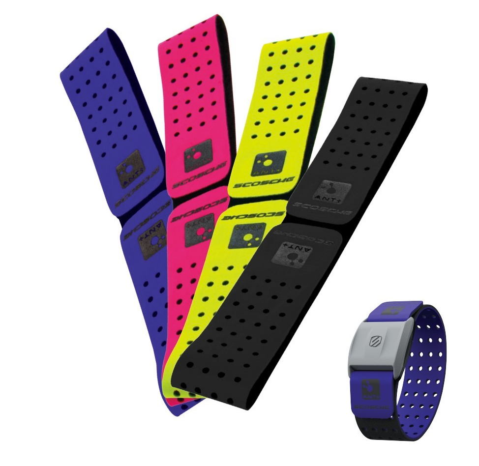 Rhythm+™ Armband - Black