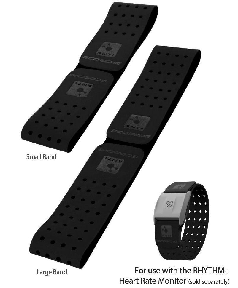 Rhythm+™ Armband - Black
