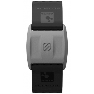 Rhythm+™ Armband - Black